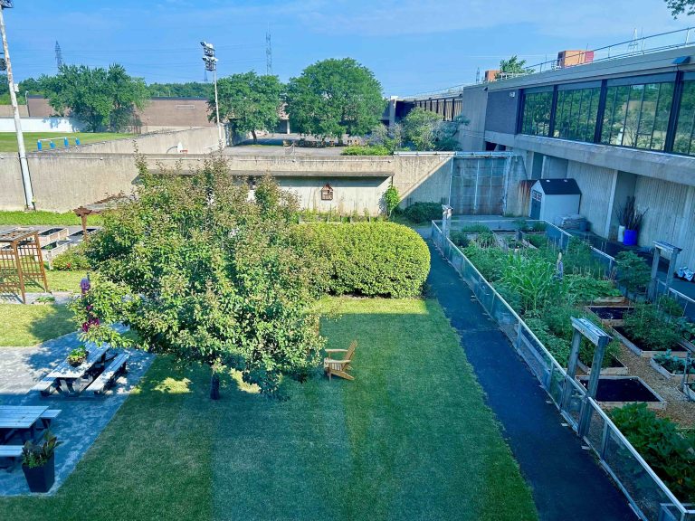 Revitalisation_et_verdissement_Photo_Jardin_patients_1