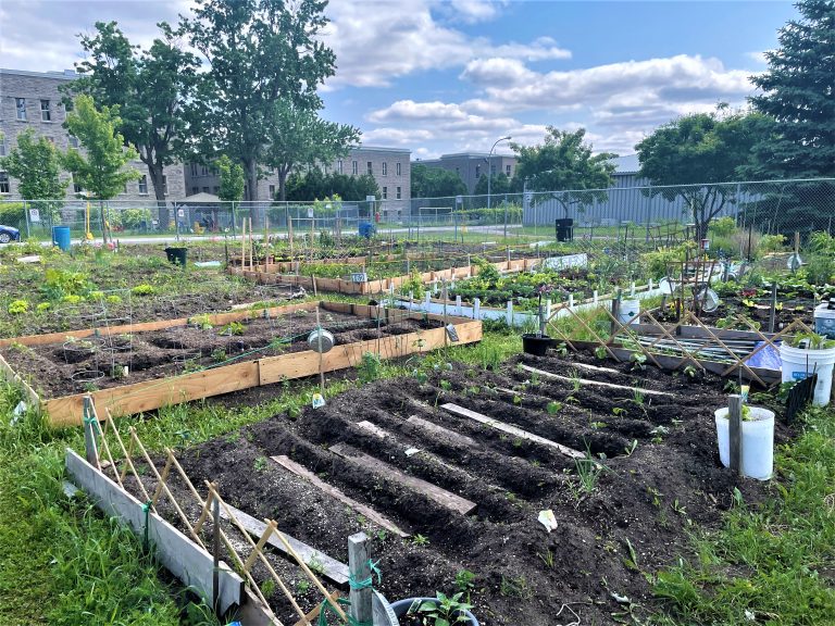 Labutinerie_ImagePrincipale_CIUSSS-EMTL